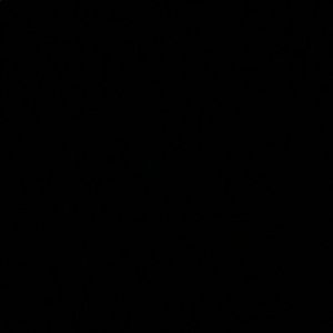 Meet your Posher, Carley